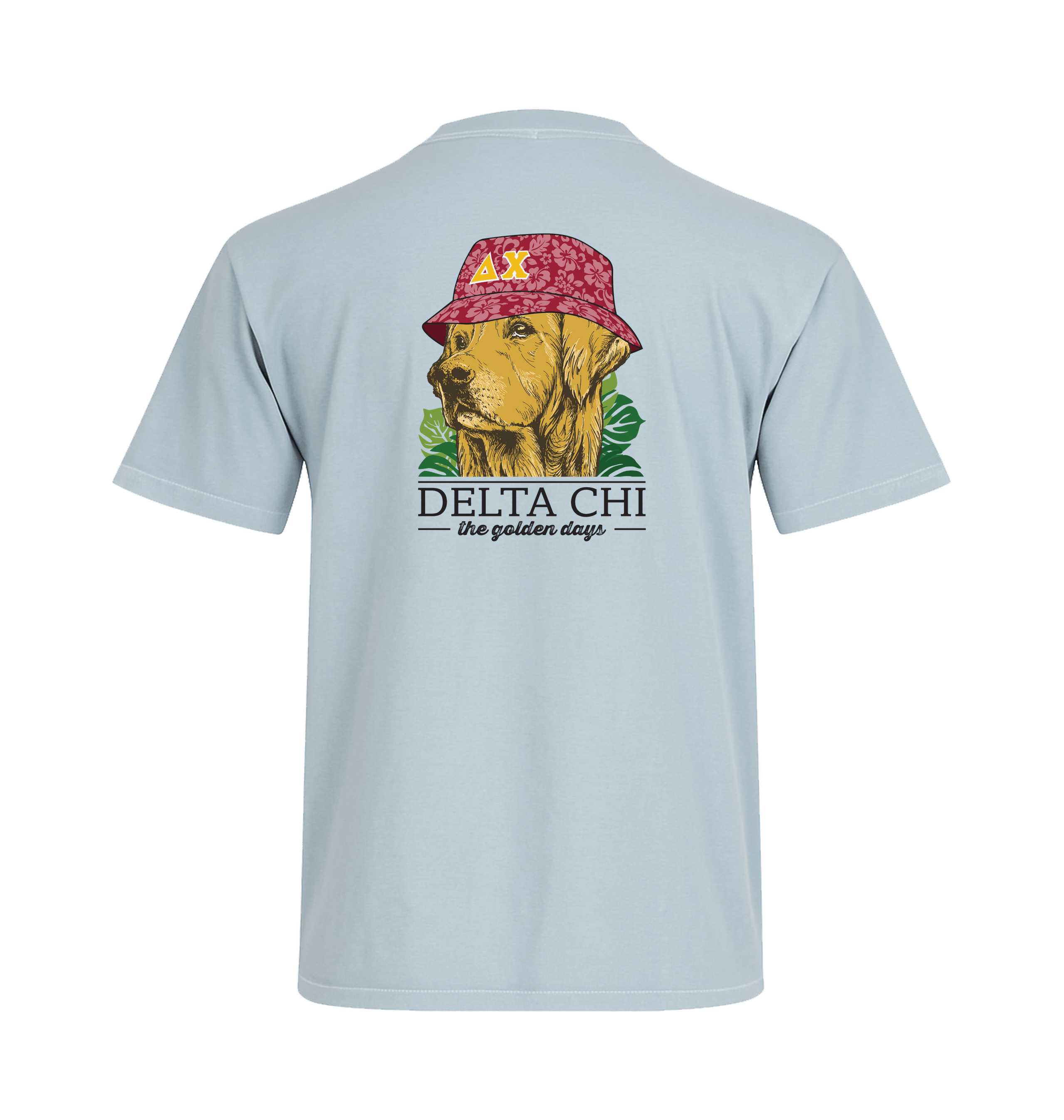 Chambray Printed T-shirt Back