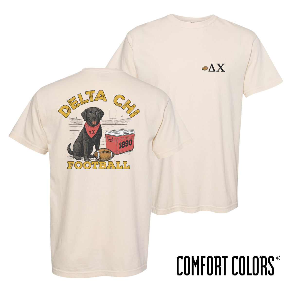 Delta Chi fraternity t-shirt featuring a black lab in a football stadium