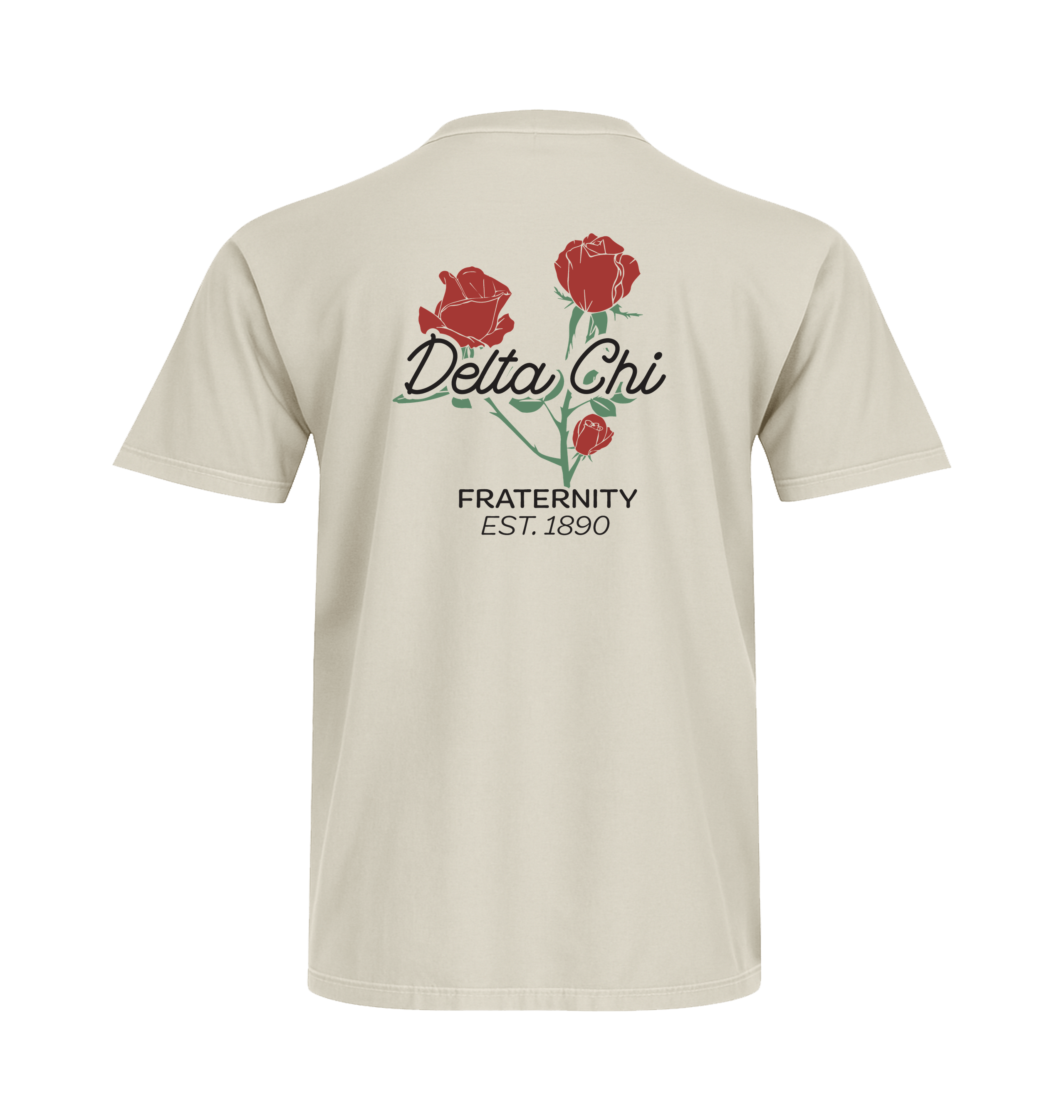 Ivory Printed T-shirt Back