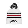 CHICAGO WHITE Beanie Front